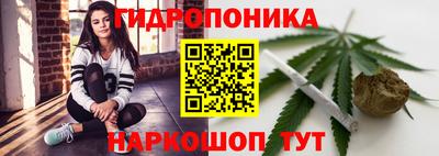 шишки Пыть-Ях