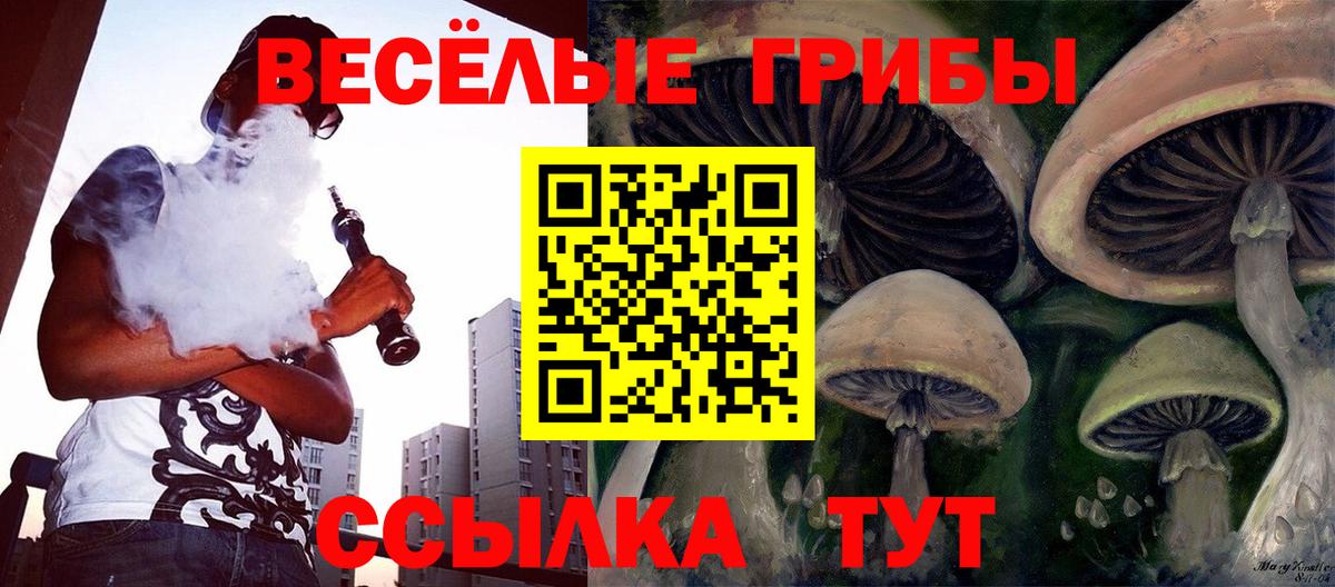 Псилоцибиновые грибы Psilocybe Удомля