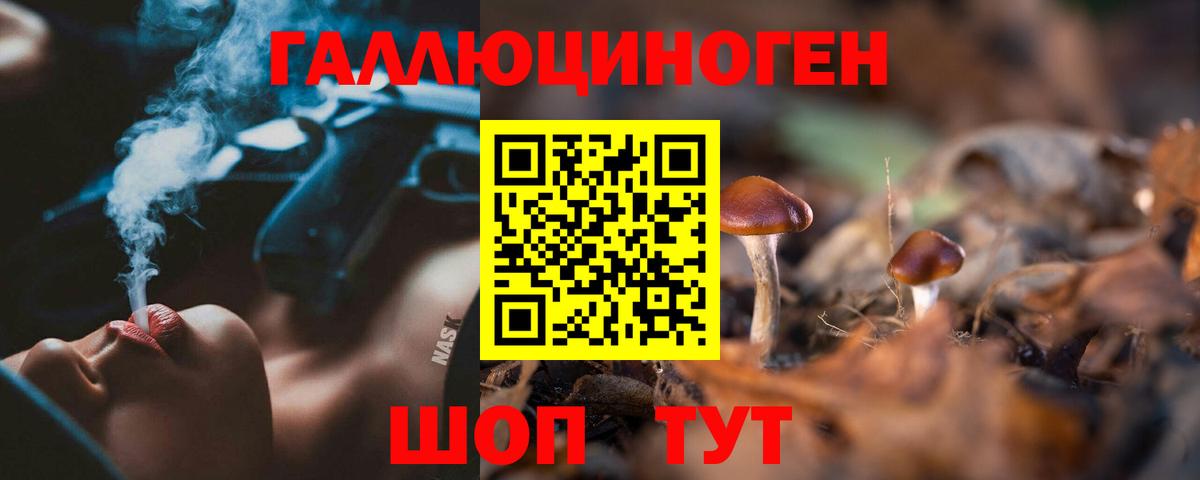 Галлюциногенные грибы Psilocybe  Вход с VPN  Удомля 